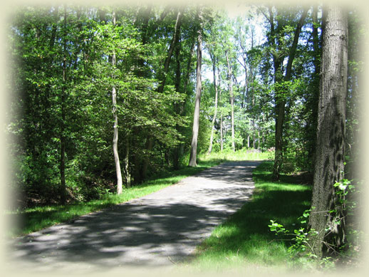 Lot For Sale