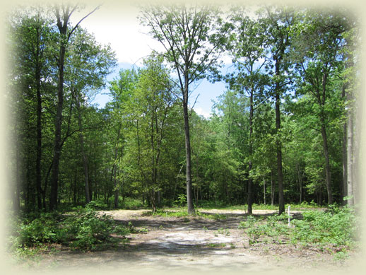 Lot For Sale